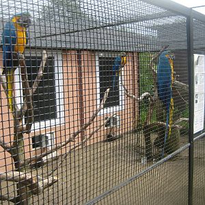 Vogelpark Niendorf - Macaw aviary