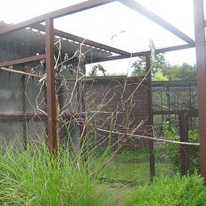 Vogelpark Niendorf - Australian aviary