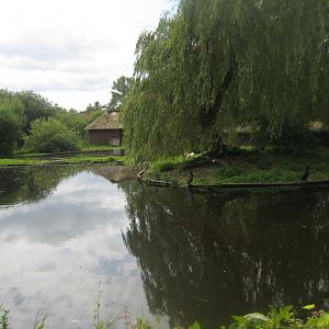 Vogelpark Niendorf - Pelican exhibit