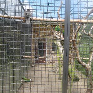 Vogelpark Niendorf - Military macaw aviary