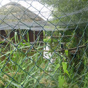 Vogelpark Niendorf - Night heron aviary
