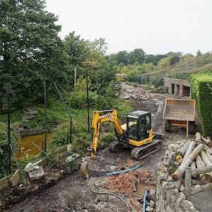 Tiger Enclosure Demolition - 26/08/2017