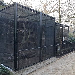 Outdoor-enclosures Small Mammal-house