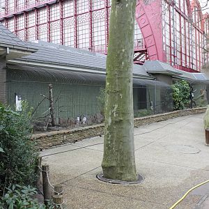Owl - Bird of prey aviaries