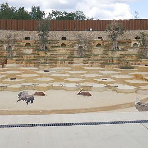 Ghosts of the Himalayas Exhibit - Vulture Amphitheatre