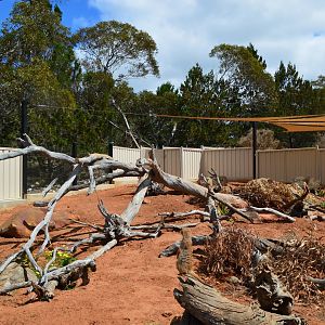 Second Meerkat Enclosure