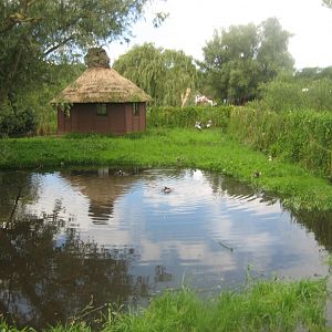 Vogelpark Niendorf - Crowned crane exhibit