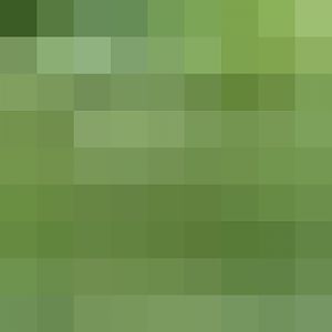 Golden Cheeked Gibbon