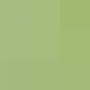 Cubs with Cheetah Mum