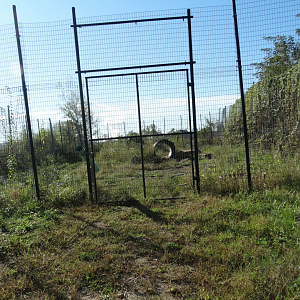 Red Wolf Sanctuary - 1 of 2 Black Bear Exhibits