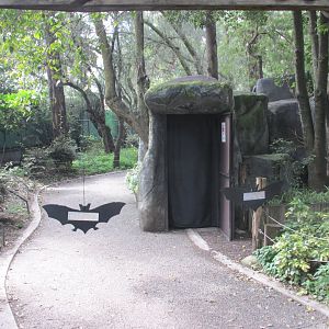 entrance to tequila bat cave