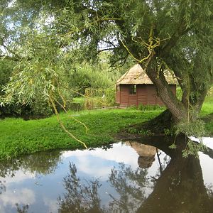 Vogelpark Niendorf - Crowned crane exhibit