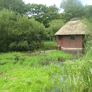 Vogelpark Niendorf - Black stork/oriental white stork exhibit