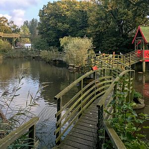 Willow Garden : Thrigby Hall : 26 Sep 2017
