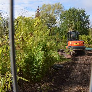 Service Works on Papua at Chester, 30/09/17