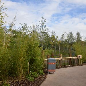 First Outdoor Malayan Tapir Viewing Area at Chester, 30/09/17
