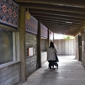 Indoor Malayan Tapir Viewing Area at Chester, 30/09/17