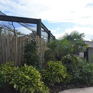 New Islands Songbird/Pheasant Aviary Exterior at Chester, 30/09/17