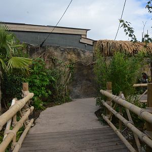 New Islands Songbird/Pheasant Aviary Interior at Chester, 30/09/17