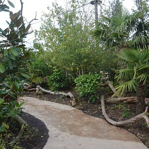 New Islands Songbird/Pheasant Aviary Interior at Chester, 30/09/17