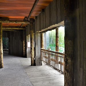 First Sun Bear Outdoor Viewing Area at Chester, 30/09/17