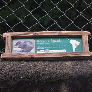 Signage Example at Chester, 30/09/17