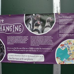 Building Work Signage at Chester, 30/09/17