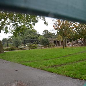 Europe on the Edge/Tiger Enclosure Demolition at Chester, 30/09/17
