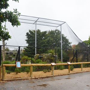 New European Aviary at Chester, 30/09/17