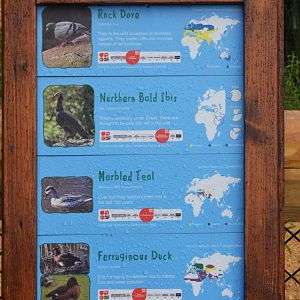 New European Aviary Signage 1 at Chester, 30/09/17
