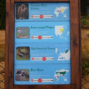 New European Aviary Signage 2 at Chester, 30/09/17