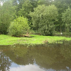 Vogelpark Niendorf - Japanese crane exhibit