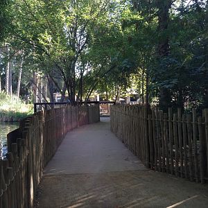 New walkway across flamingo exhibit