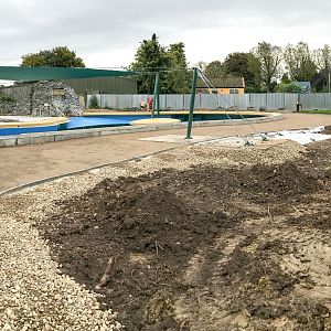 California sea lion (exhibit, construction progress) : Banham Zoo : 29 Sep 2017