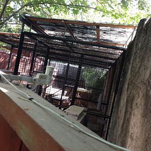Behind the snow leopard exhibit