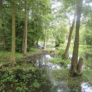 Vogelpark Niendorf - Walkthrough exhibit