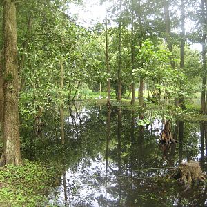 Vogelpark Niendorf - Walkthrough exhibit