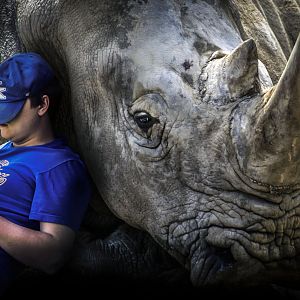 Stay Close To What You Love