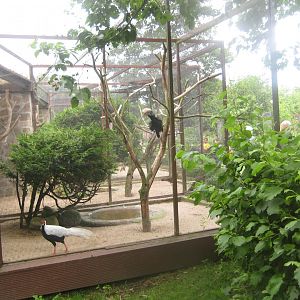 Vogelpark Niendorf - Mixed exotics #1