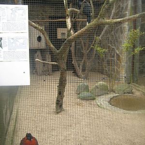 Vogelpark Niendorf - Mixed exotics #2