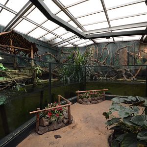 Caiman enclosure