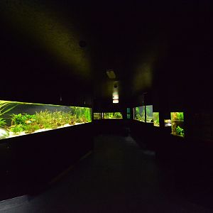 Aquarium building