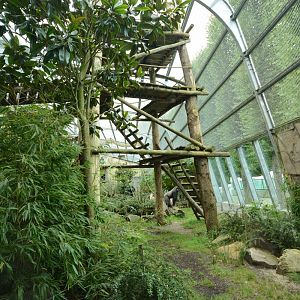 Gorilla outdoor cage