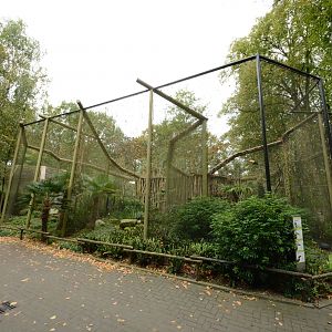 Toucan aviaries