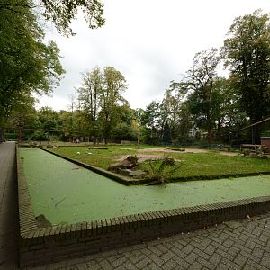 Future bonobo enclosure