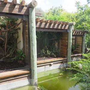 Callichtrid enclosures