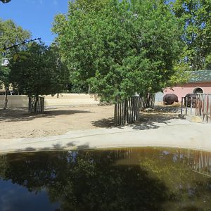 Hippo enclosure