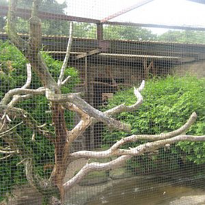 Vogelpark Niendorf - Mixed exotics #3