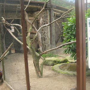 Vogelpark Niendorf - Mixed exotics #4