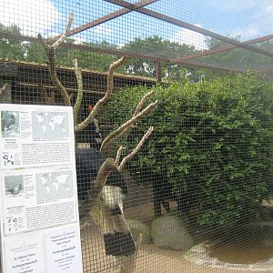 Vogelpark Niendorf - Mixed exotics #5